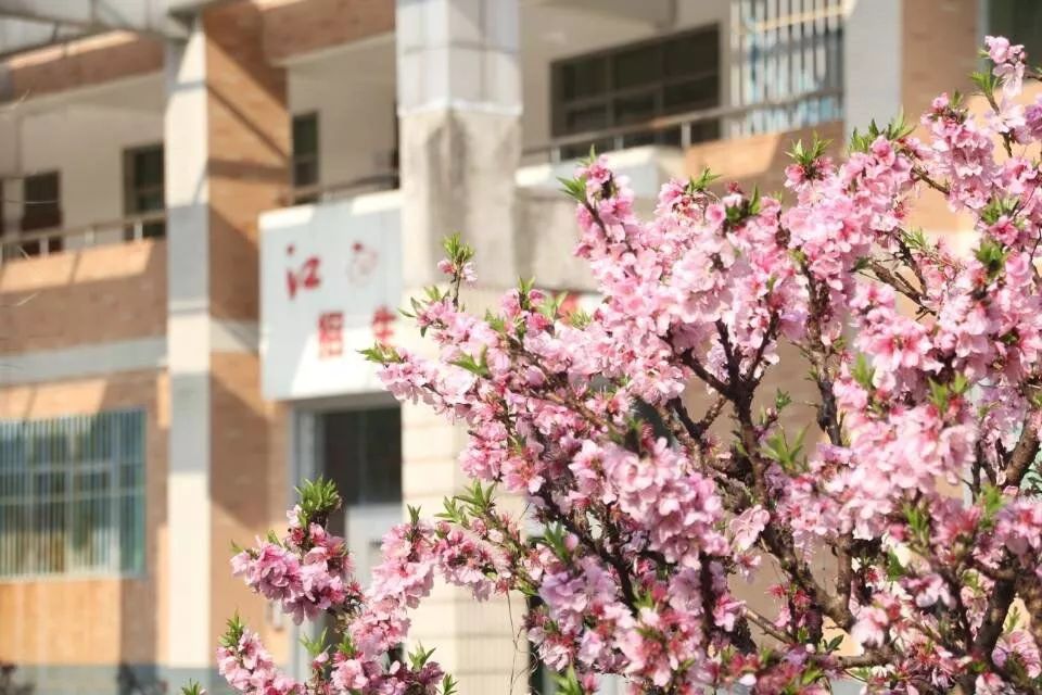 “宝藏”男孩江工登场！单招的小伙伴们快来报名发掘吧！