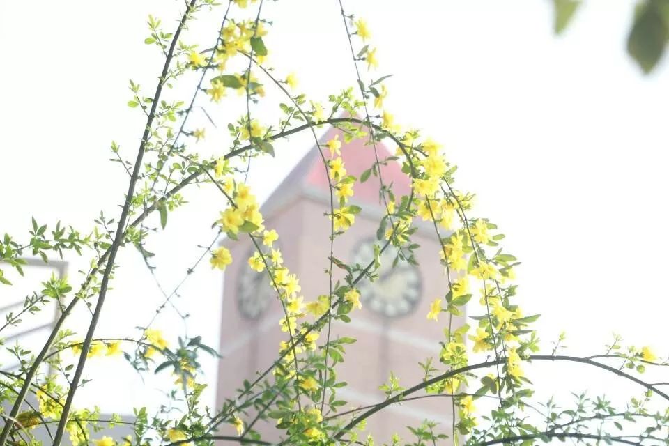 “宝藏”男孩江工登场！单招的小伙伴们快来报名发掘吧！