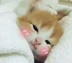 “宝藏”男孩江工登场！单招的小伙伴们快来报名发掘吧！