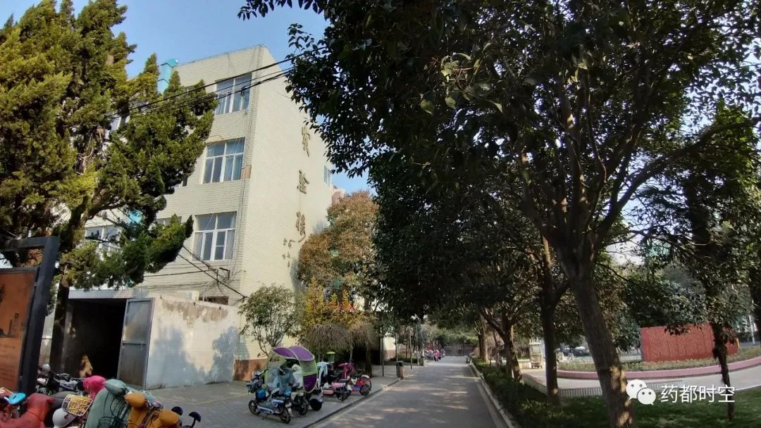 亳州市第一中学招生简章,亳州一中什么时候开学