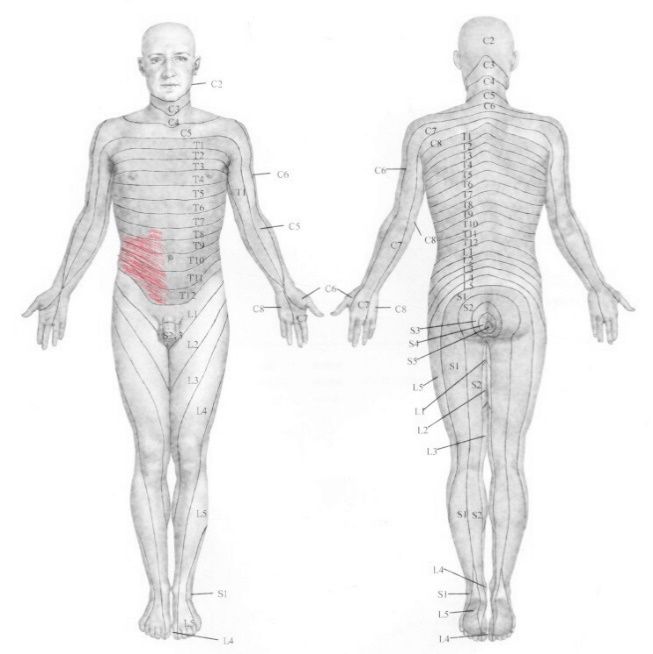 牙科神经阻滞打一针多少钱,神经阻滞针打一针和打三针的区别