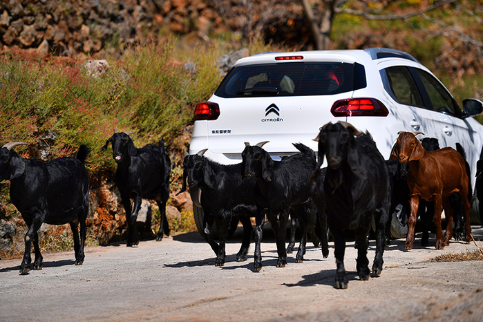 新东风雪铁龙c3xr试驾,东风雪铁龙c3xr2011