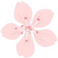 走进荷兰“花花世界”，五大赏花攻略总有一款适合您！骑行/直升机，逛花园花田，跟着花农的脚步走过这个春天