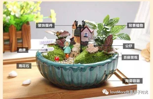 机构上百元的自然课程~春日踏青最常见的，孩子想知道的都在这里！大自然拓荒者小矮人~