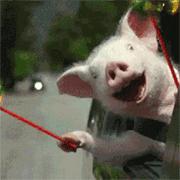 赵丽颖剖腹产子上热搜？龙一医医生这么说