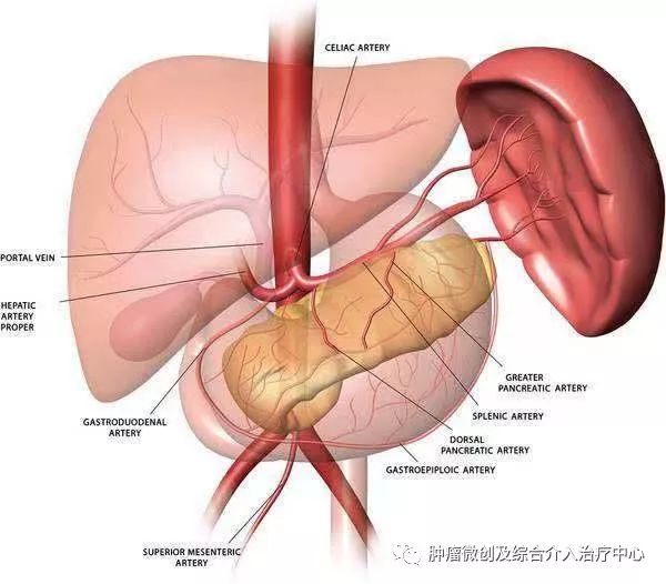 脾动脉栓塞术,脾栓塞手术的适应症