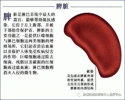 脾动脉栓塞术,脾栓塞手术的适应症