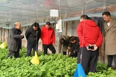 多部门联合检查蔬菜市场,两部门联合调查