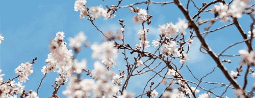 绋充簡娉ㄥ唽鍏徃,绋充簡鍘熺増