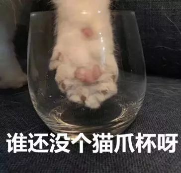 星巴克猫爪杯打架完整版,关于星巴克猫爪杯事件看法