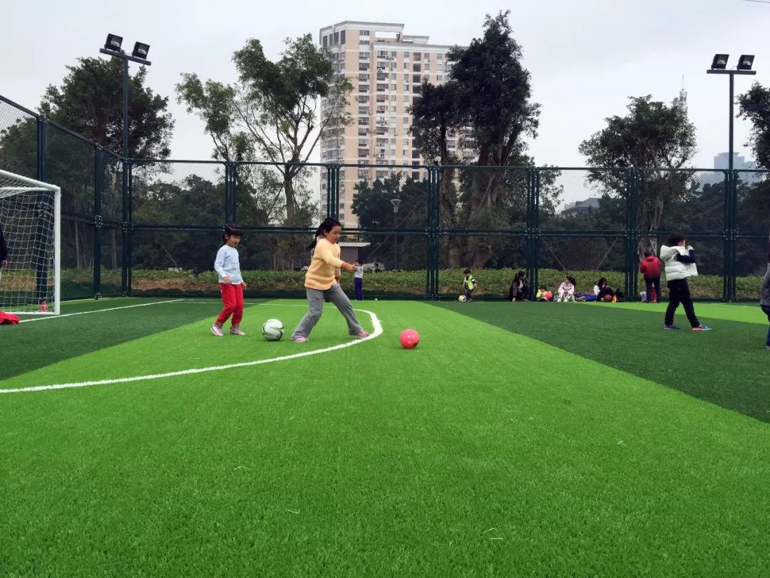 足球场青海,青海足球场修建时间多久