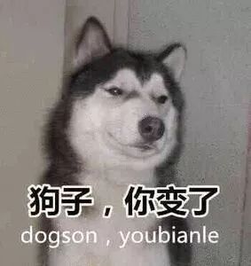 2019steam热销榜,steam十大必买神作单机排行榜