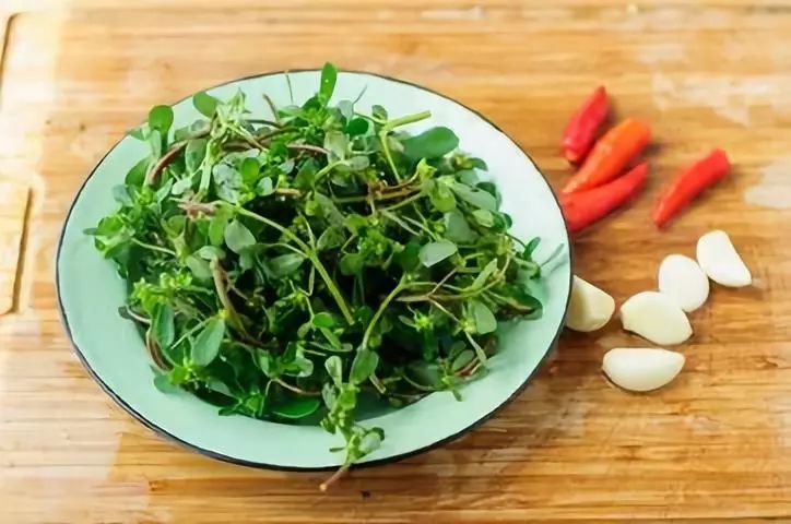 春天里要吃的四大黄金野菜,春天不可辜负的六种野菜