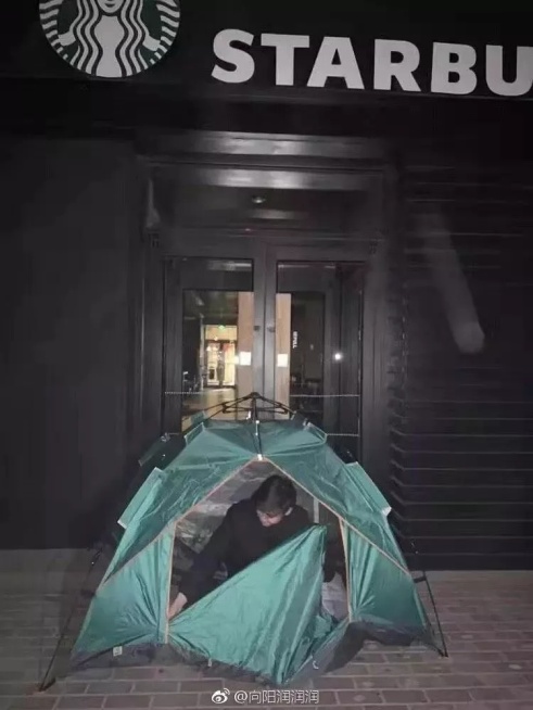 星巴克猫爪杯反映国民素质,星巴克猫爪杯深夜排队疯抢