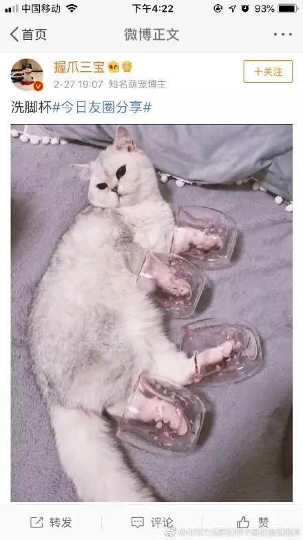 星巴克猫爪杯反映国民素质,星巴克猫爪杯深夜排队疯抢