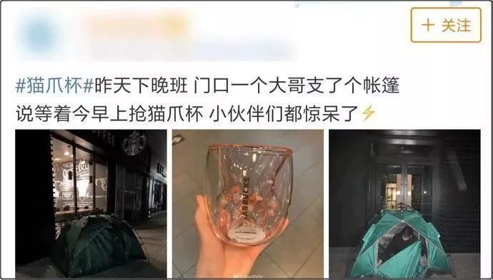 星巴克猫爪杯引发抢购热潮,疯抢网红猫爪杯