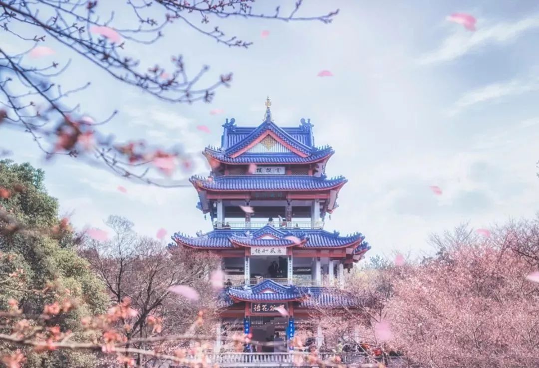 2022年3月机票便宜,三月下旬厦门到成都机票价格