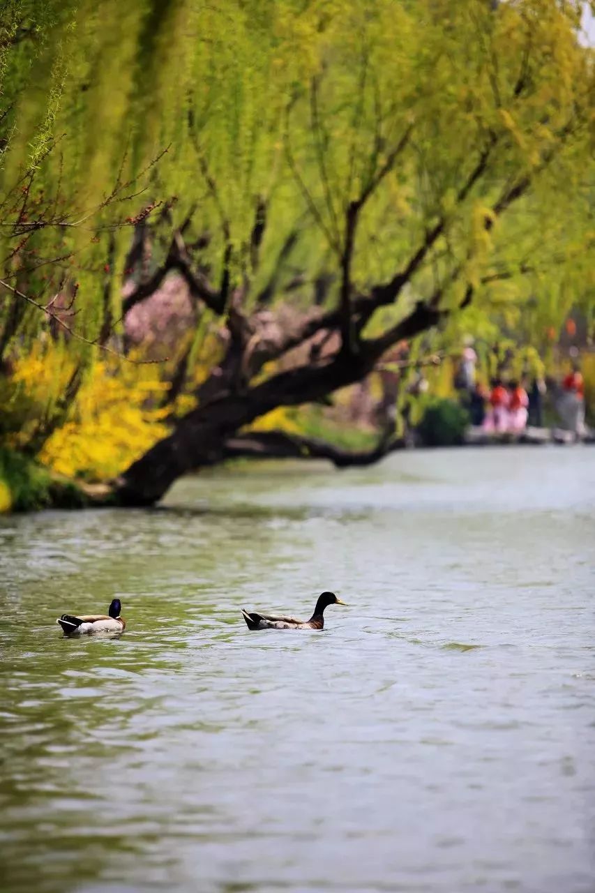 2022年3月机票便宜,三月下旬厦门到成都机票价格