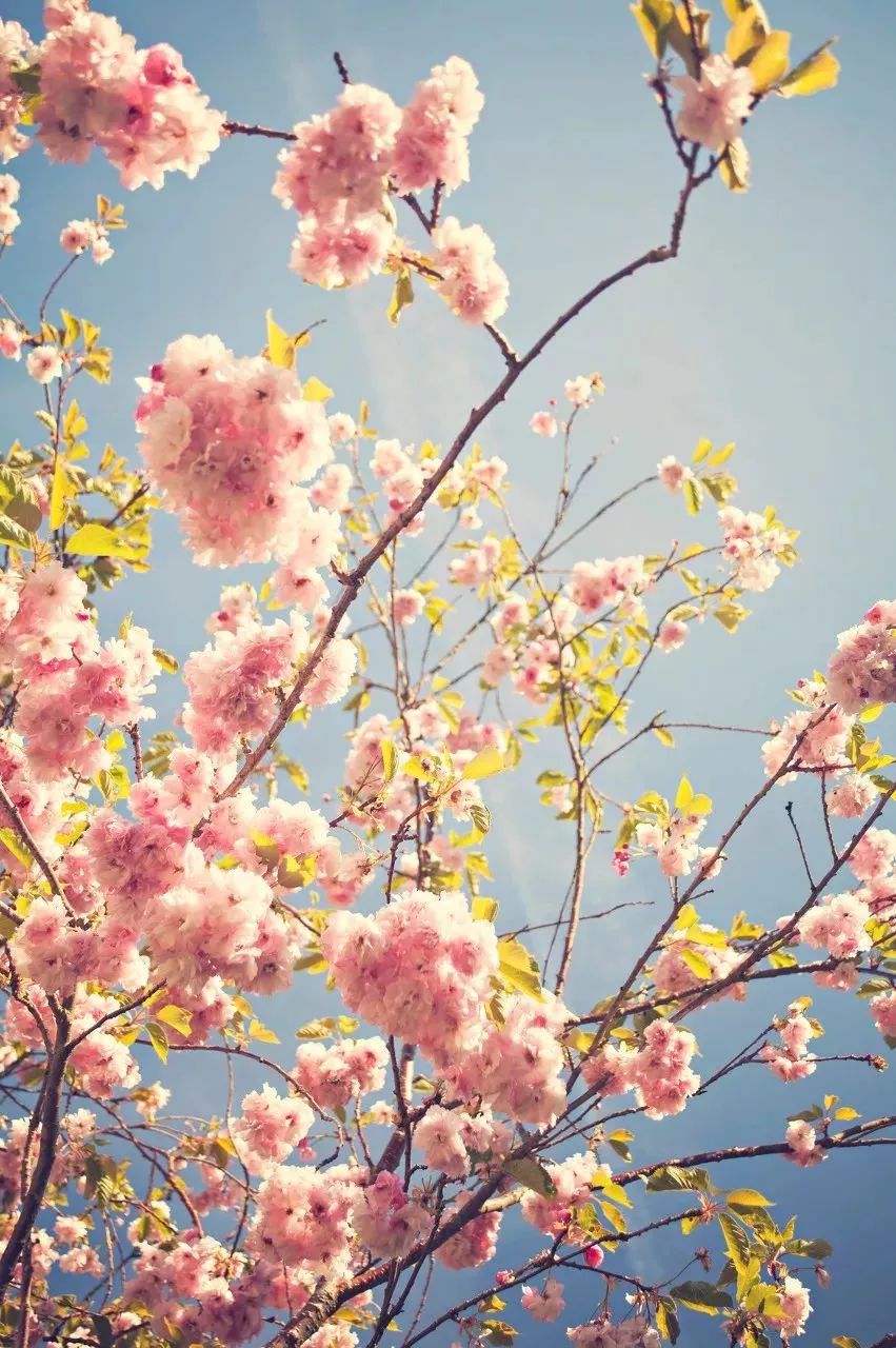 2022年3月机票便宜,三月下旬厦门到成都机票价格