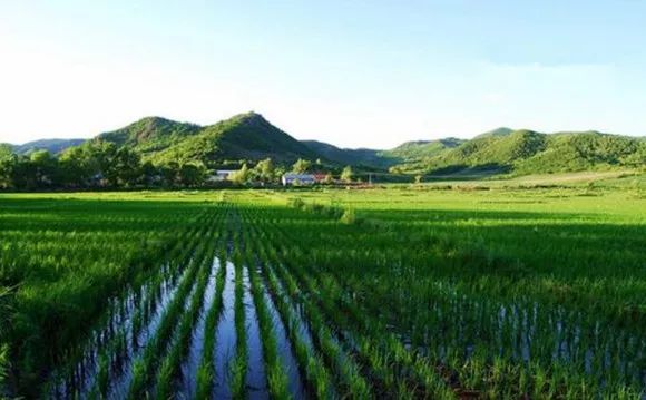 哈尔滨特产必带清单送朋友,哈尔滨旅游带走的美食