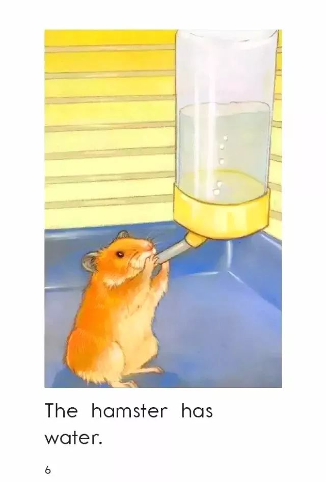 「英语轻松学」之《HamsterHome》仓鼠的家