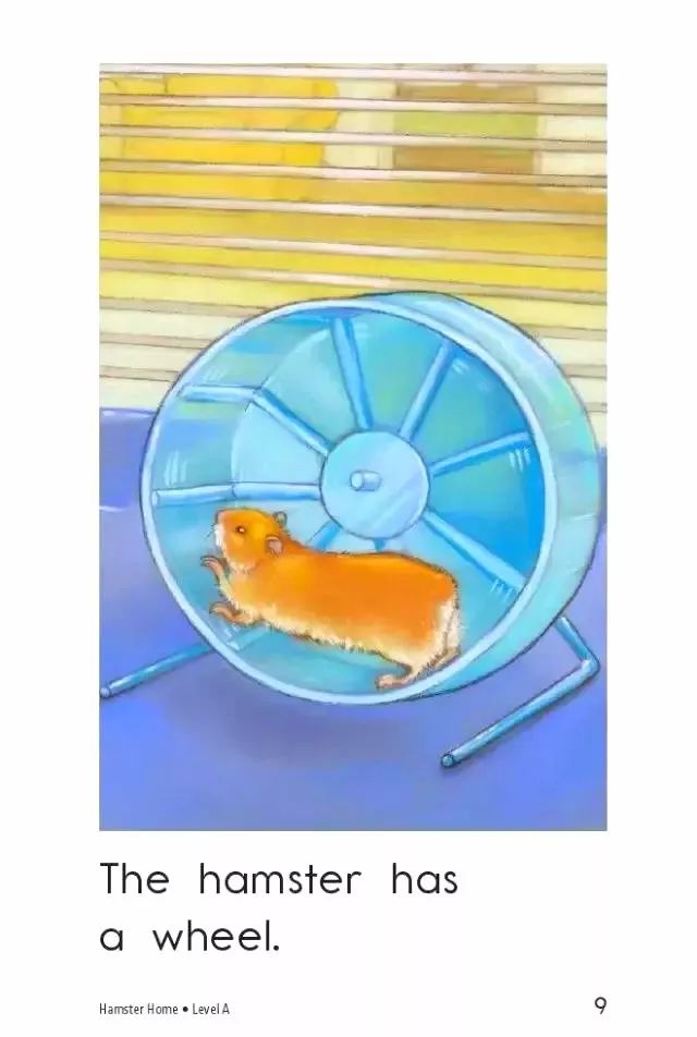 「英语轻松学」之《HamsterHome》仓鼠的家