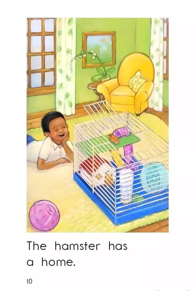 「英语轻松学」之《HamsterHome》仓鼠的家