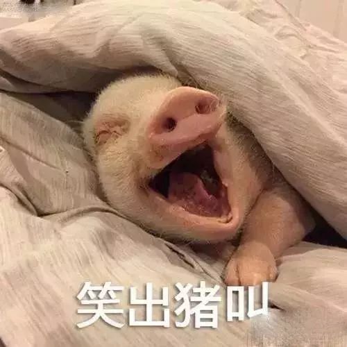 小红书养生秘笈有多沙雕?