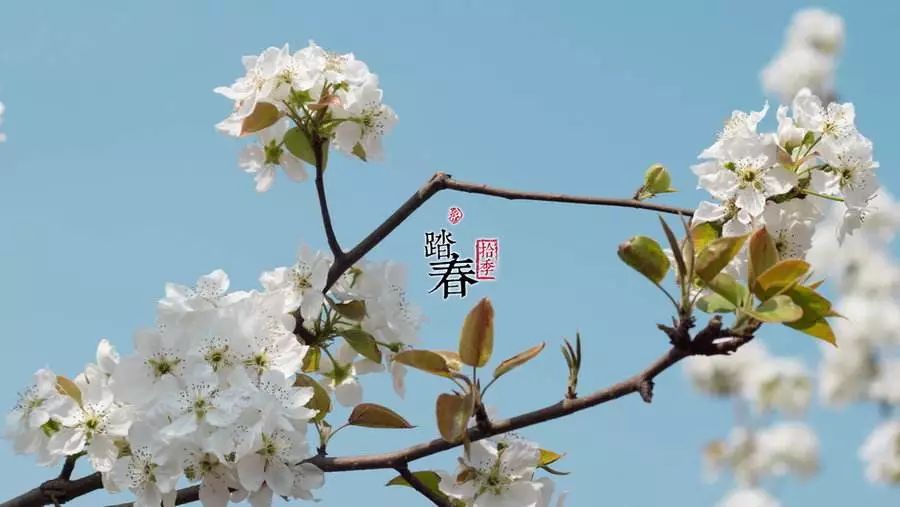 大连金普开学,开学必去的十大地方