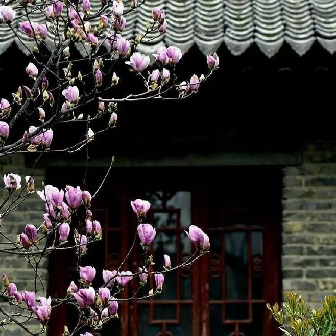 人民日报整理100个最常误用的成语,人民日报总结的常被误用的成语