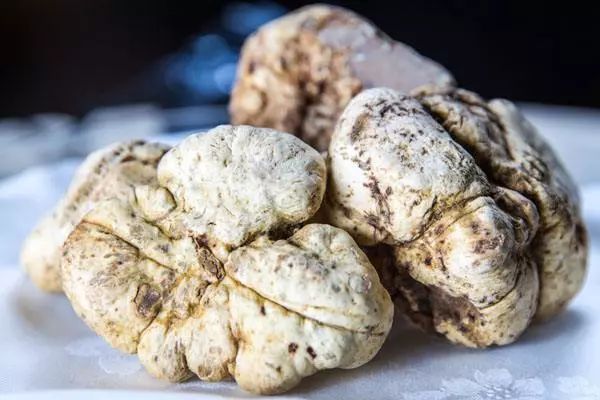 美白针可以10天打一次吗,可以美白的针