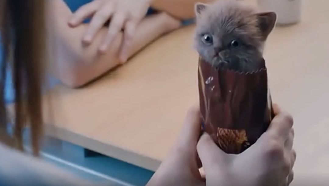 星巴克回应猫爪杯被抢光,星巴克猫爪杯事件营销策略