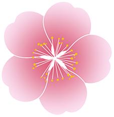 妇女节乳腺增生,三八妇女节女性健康知识图片