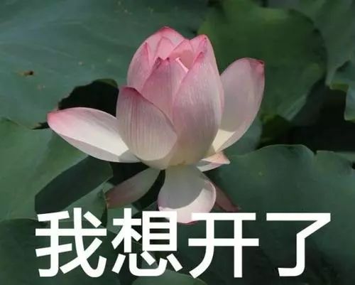 没干透的*裤内**直接穿，小姐姐住进医院！吓得我赶紧看看最近天气……