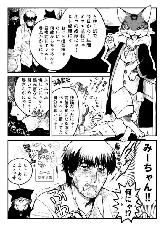 猫:为什么大家都来抢我的jio杯