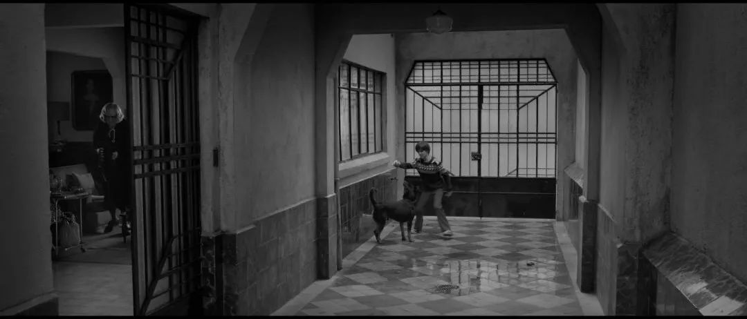 黑白摄影哪家强？回顾《罗马》《冷战》的奥斯卡之战！