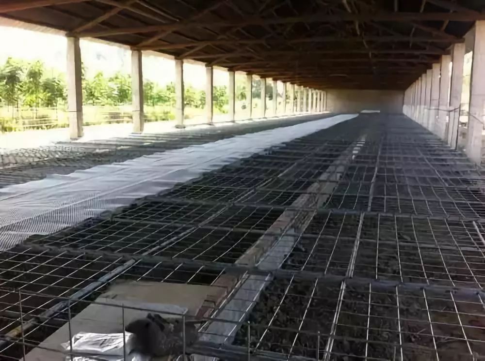 最新水禽养殖技术,水禽养旱新模式