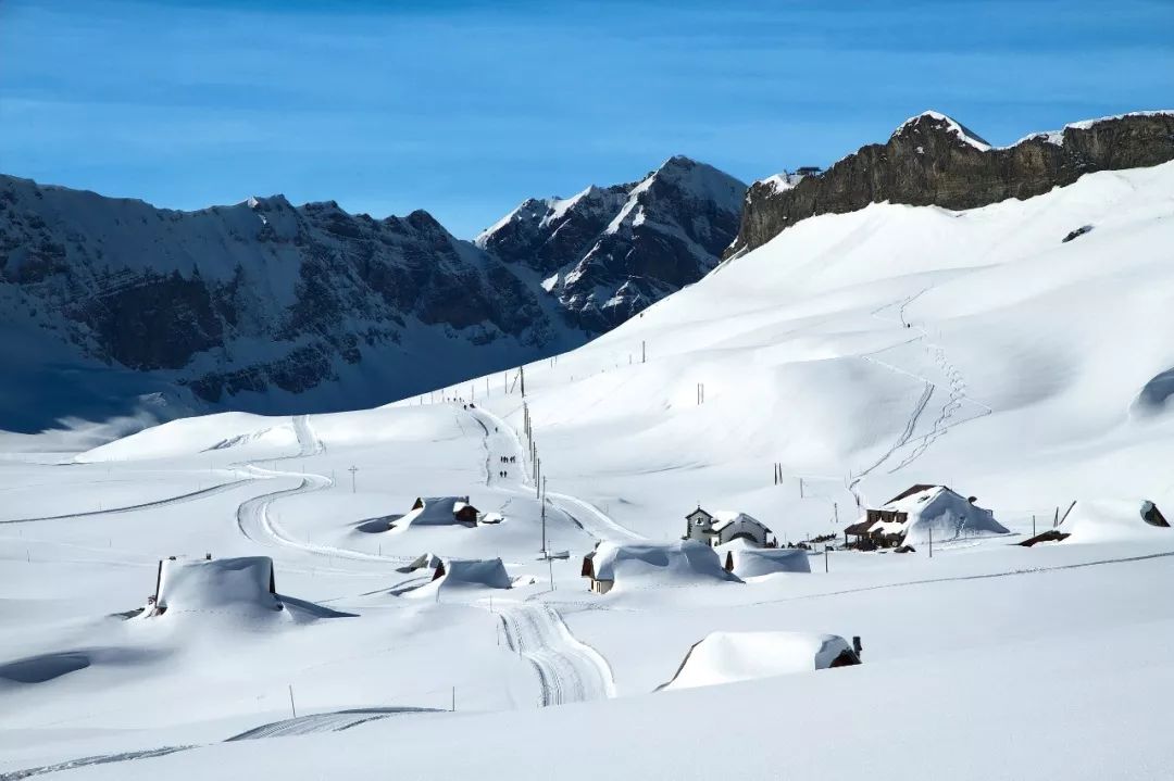 杨立新杨玏封面春运,杨立新杨玏一起拍电视剧