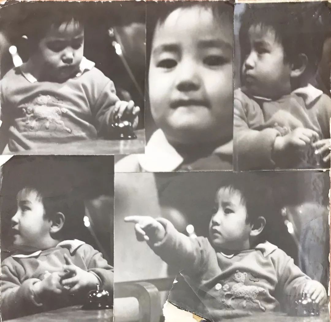 杨立新杨玏封面春运,杨立新杨玏一起拍电视剧