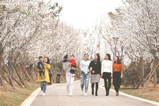 眉山东坡半程马拉松安全完赛,2019眉山东坡国际半程马拉松