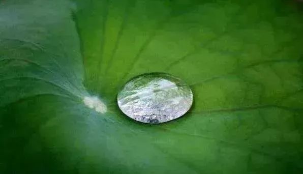 炒菜总粘锅咋办教你一招解决,炒菜粘锅最好的解决办法