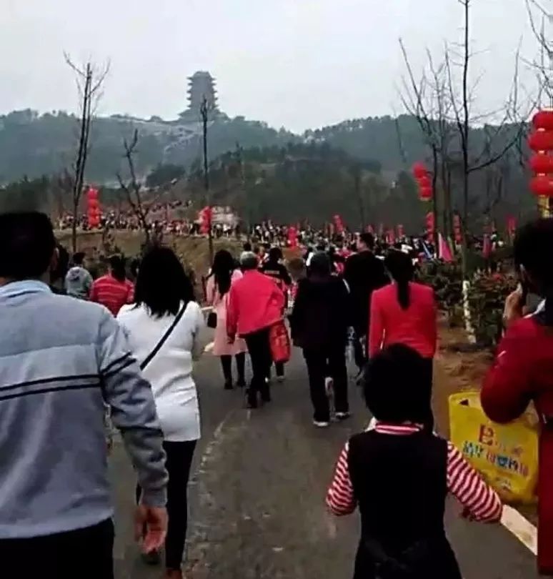 信丰阁风景区简介,信丰阁风景区