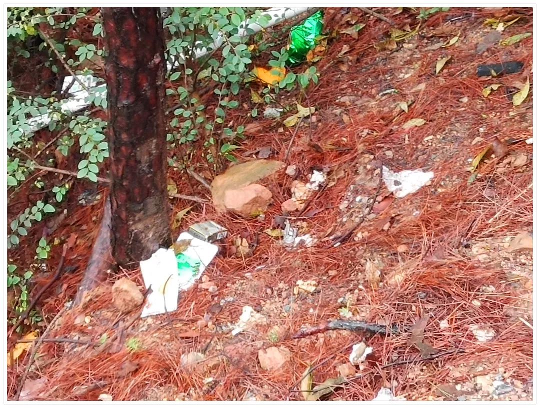 信丰阁风景区简介,信丰阁风景区