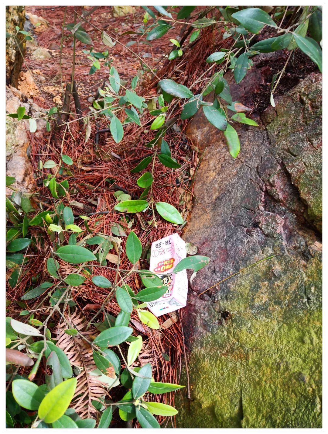 信丰阁风景区简介,信丰阁风景区