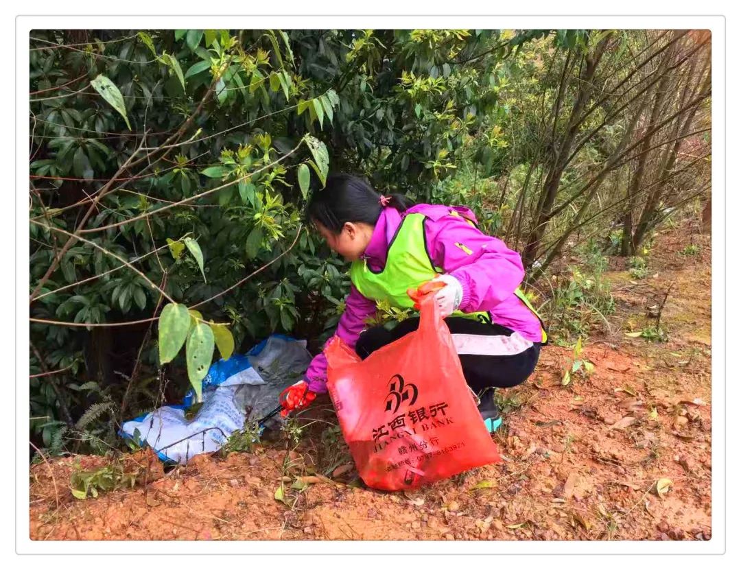信丰阁风景区简介,信丰阁风景区