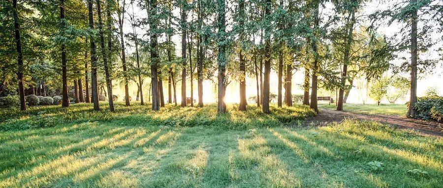 如何才能不沉迷于游戏摆脱网瘾呢,三招教网瘾少年不再沉迷游戏