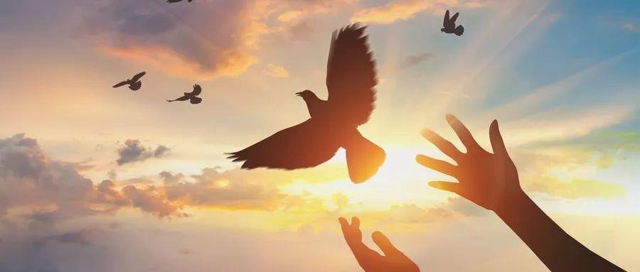 如何才能不沉迷于游戏摆脱网瘾呢,三招教网瘾少年不再沉迷游戏