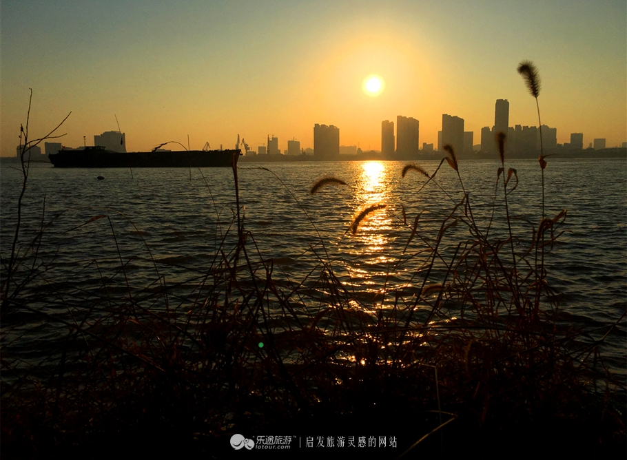 乡关何处是演唱视频,乡关何处是原唱完整版