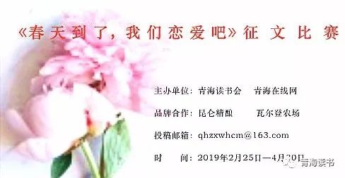 荷塘景色征文范文600字,荷塘为主题的征文