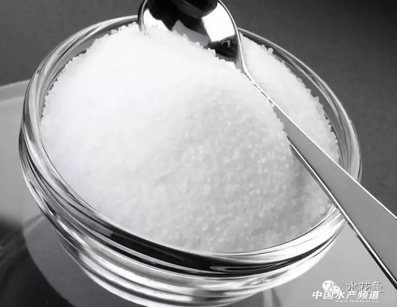 细菌性烂鳃和寄生虫性烂鳃的区别,烂鱼鳃病怎么治疗